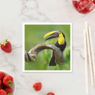 Toucan sitta vid gren i skogen pappersservett