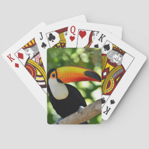 Toucan Spelkort