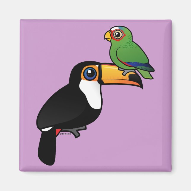 Toucan Torn Magnet (Framsidan)