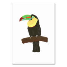 Toucan Tropical Bird Reading Flashcard för vuxnor