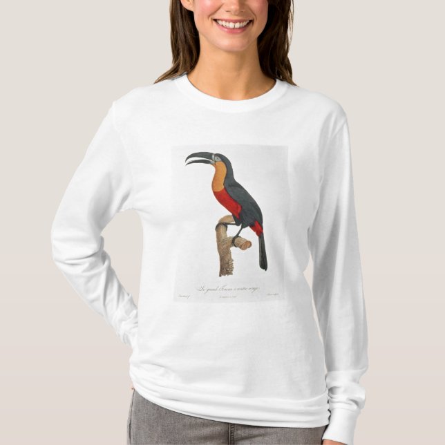Toucan: Underbar som Röd-Buktas av Jacques Tee (Framsida)