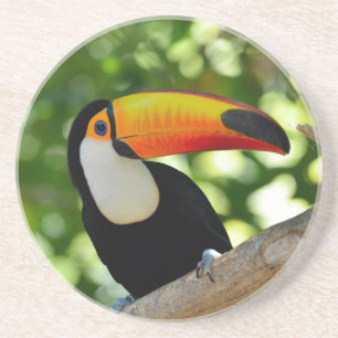Toucan Underlägg Sandsten