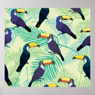 Toucan Vintage, färglös illustration. Poster