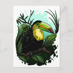 Toucan Vykort