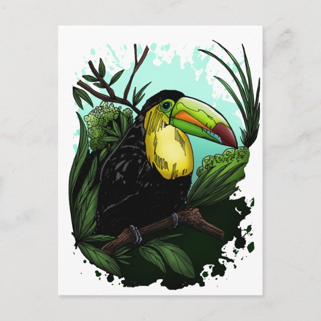 Toucan Vykort (Framsida)