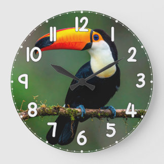 Toucan Wall Clock – Tropical Bird Wildlife Nature  Stor Klocka