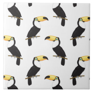 Toucans Kakelplatta