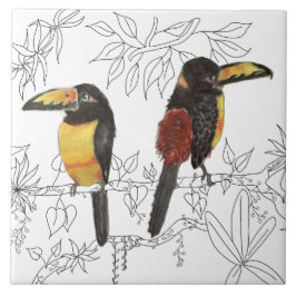 Toucans on a Ceramic Tile (W) Kakelplatta