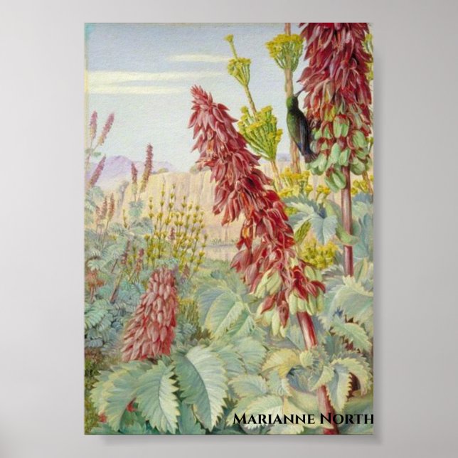 Touch Me Not Flowers and Sugar Birds ,Tulbagh Poster (Framsidan)