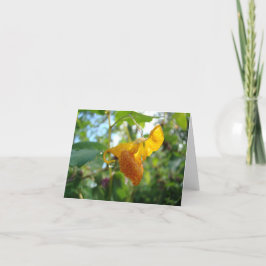 Touch-Me-Not-Orange Wildblomma Kort