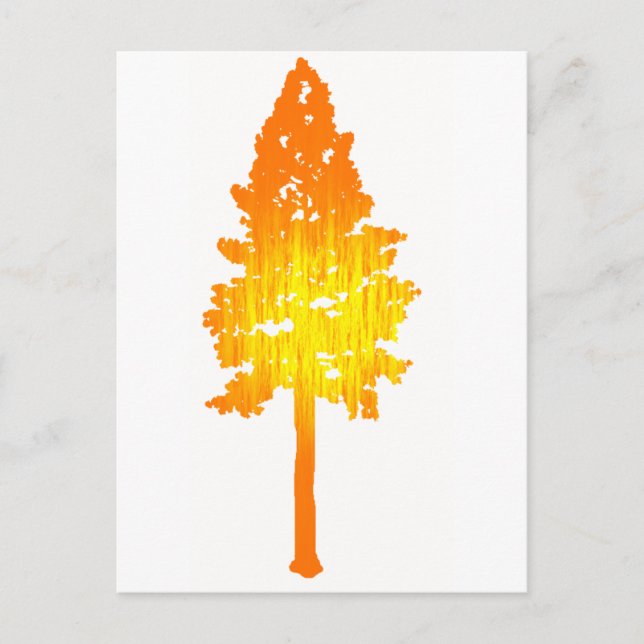 Touch of Sol Vykort (Framsida)