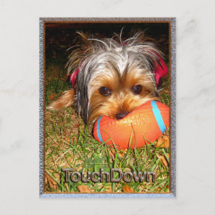 TouchDown Yorkie Vykort