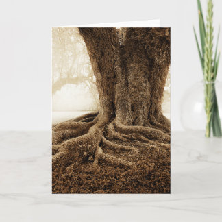 Touching_Earth_MW1104 Kort