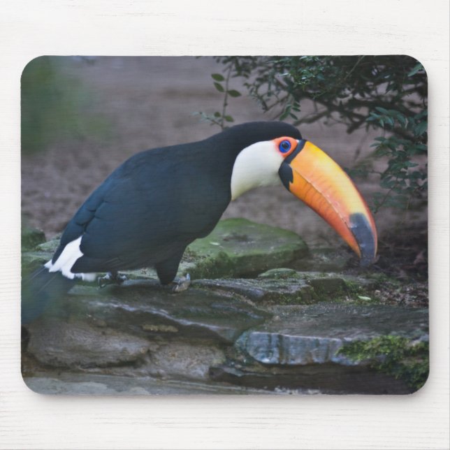 Toukan Mousepad Musmatta (Framsidan)