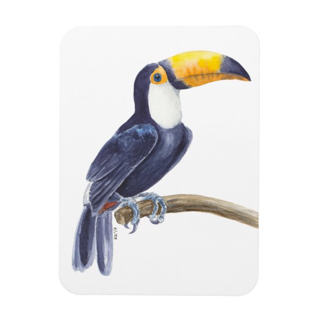 Toukan, tropisk fågel magnet (Vertikal)