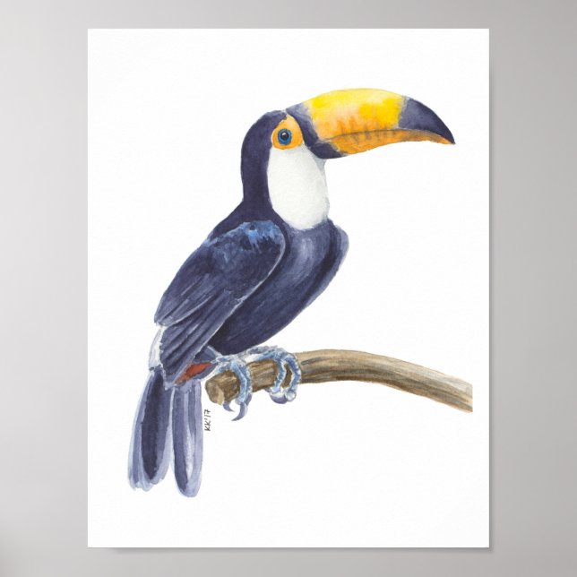 Toukan, tropisk fågel poster (Framsidan)