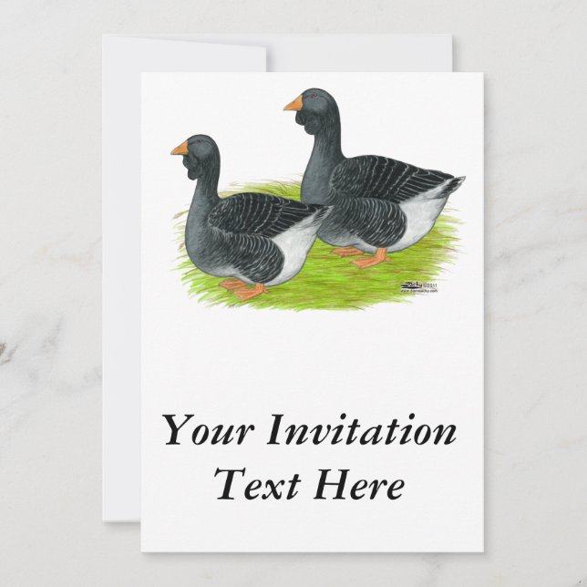 Toulouse Dewlap Geese Inbjudningar (Framsida)