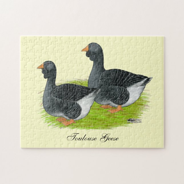 Toulouse Dewlap Geese Pussel (Horisontell)