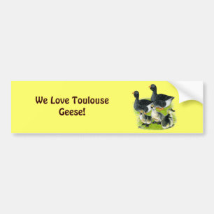 Toulouse Goose Family Bildekal