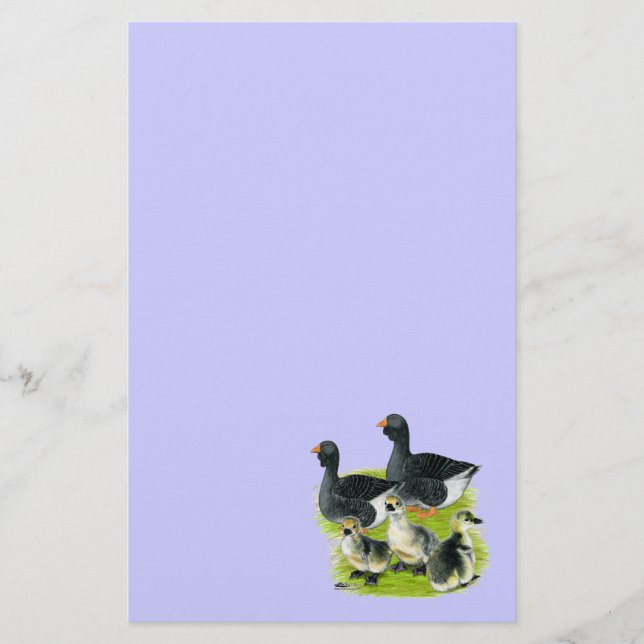 Toulouse Goose Family Brevpapper (Framsida)