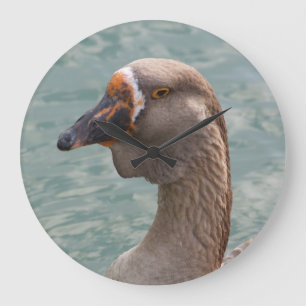 Toulouse Goose Stor Klocka