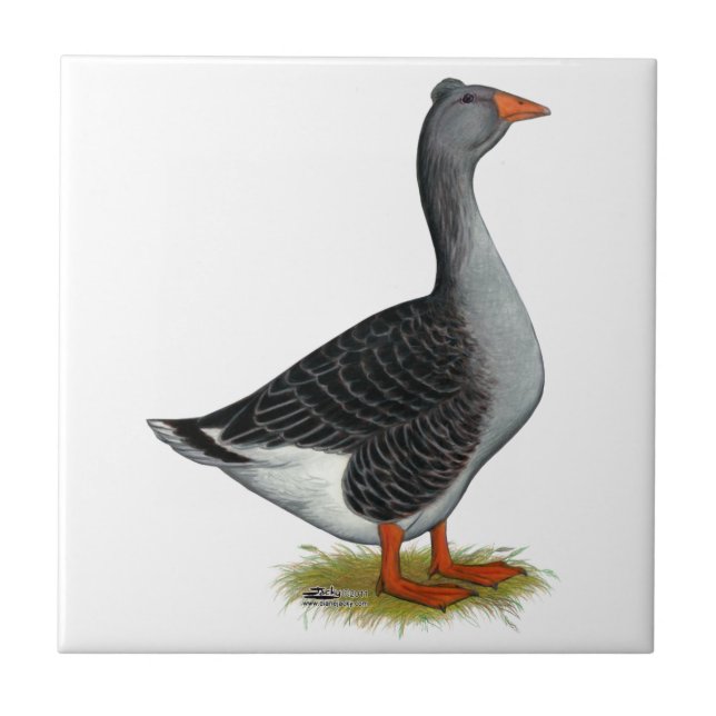 Toulouse Goose Tuabled Kakelplatta (Framsidan)