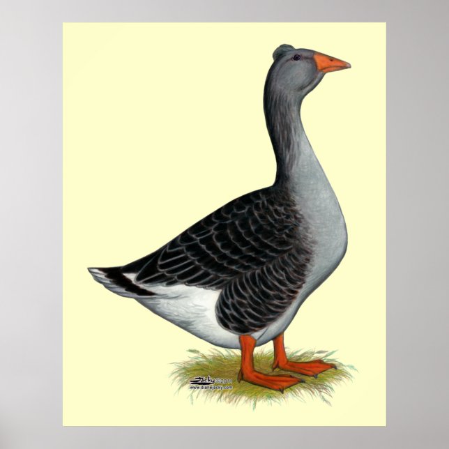 Toulouse Goose Tuabled Poster (Framsidan)