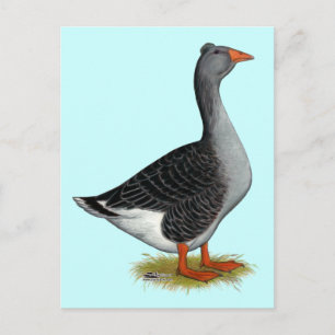 Toulouse Goose Tuabled Vykort