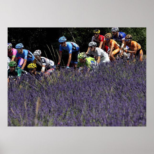 Tour de France dans les lavandes Poster (Framsidan)