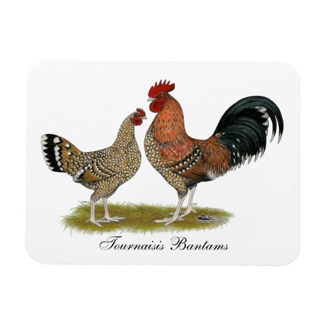 Tournaisis Bantams Magnet (Horisontell)