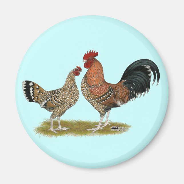 Tournaisis Bantams Magnet (Framsidan)