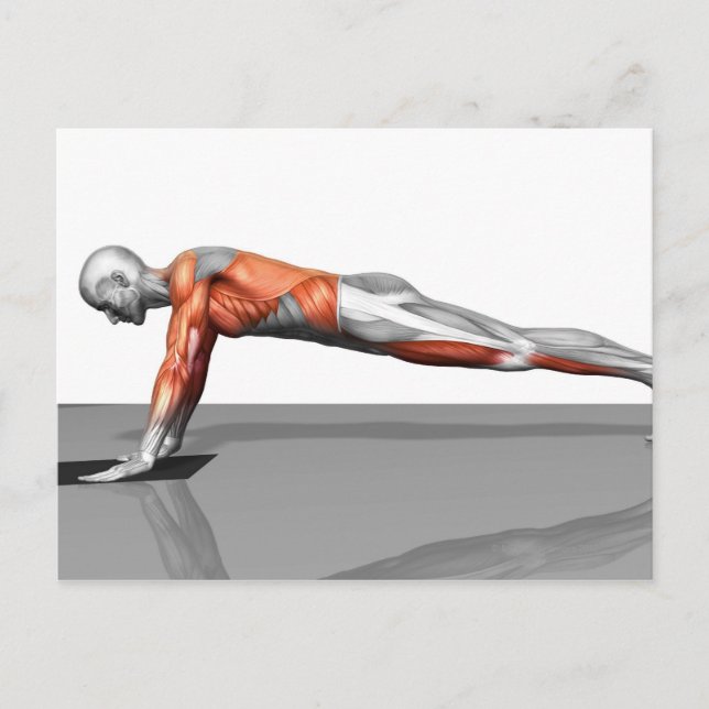 Towel Fly Exercise Vykort (Framsida)