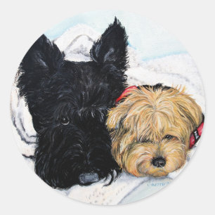 Toweling av! Scottie och Yorkie kompisar Runt Klistermärke