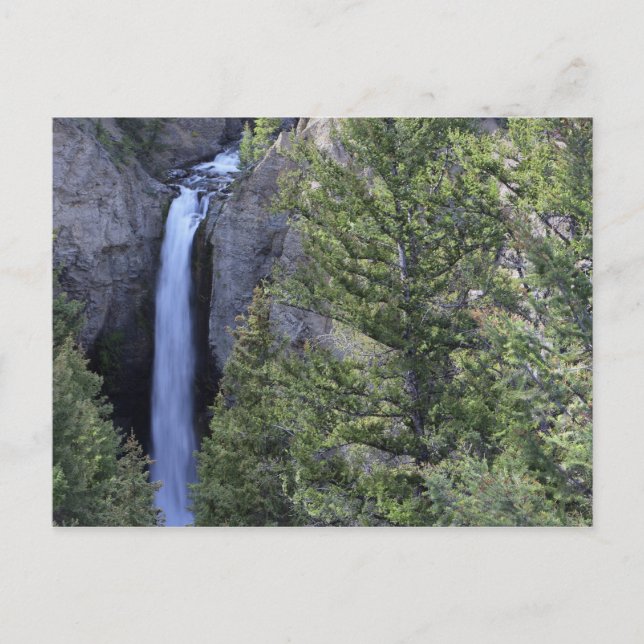 Tower Falls, Yellowstone National Park, Wyoming Vykort (Framsida)