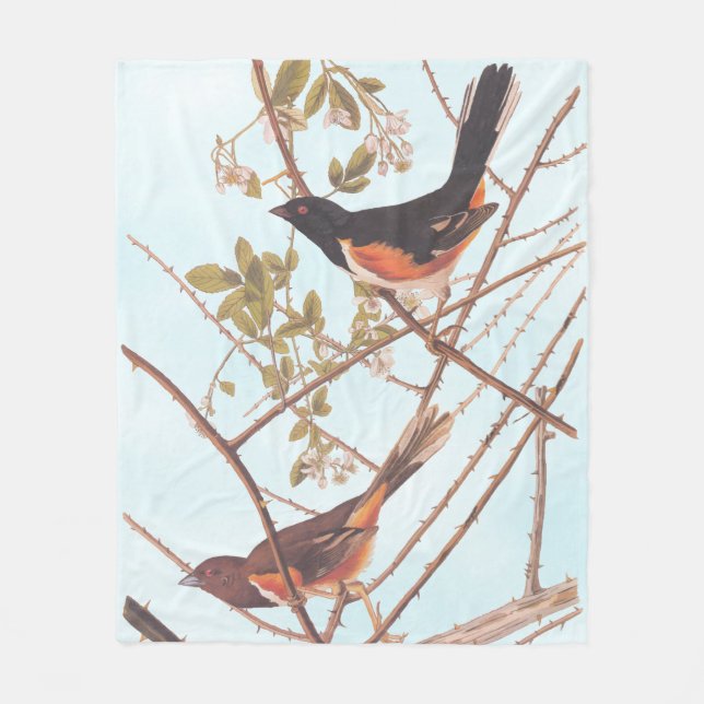 Toweting Bunting Audubon Black and Orange Sång Bir Fleecefilt (Framsidan)