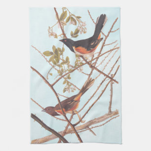 Toweting Bunting Audubon Black and Orange Sång Bir Kökshandduk