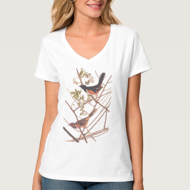 Toweting Bunting Audubon Black and Orange Sång Bir T Shirt (Framsida)