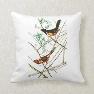 Towhe som Bunting John James Audubon fåglar av Kudde