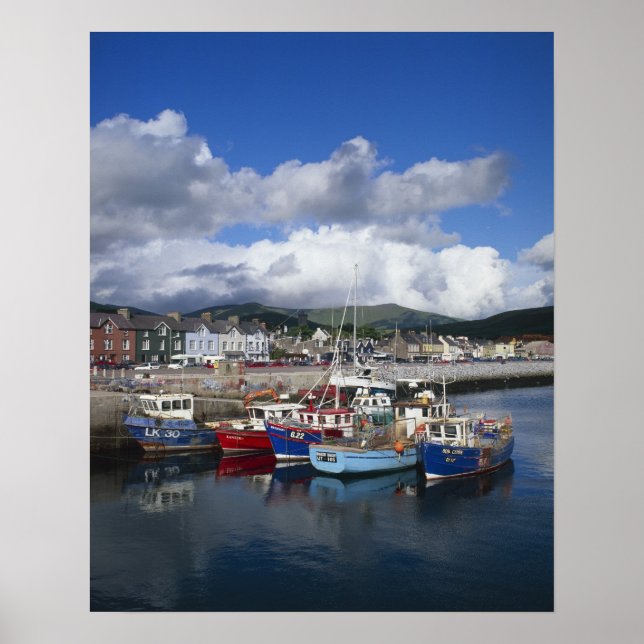 Town and Harbour, Dingle, County Kerry Poster (Framsidan)