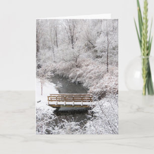 Town Brook i januari Kort