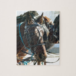 Town Hall Meeting Amish Buggy Horses Pussel