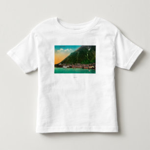 Townen beskådar av Juneau, AlaskaJuneau, AK 2 T-shirt