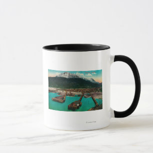 Townen beskådar av Skagway, AlaskaSkagway, AK Mugg