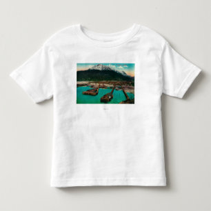 Townen beskådar av Skagway, AlaskaSkagway, AK T Shirt