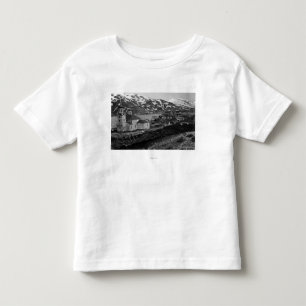 Townen beskådar av Unalaska, Alaska fotograferar Tee