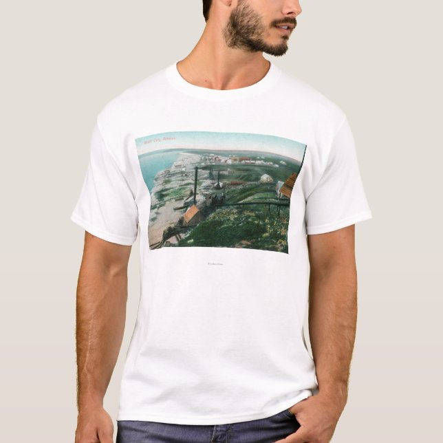 Townen beskådar och den WaterfrontBluff staden, AK T Shirt (Framsida)