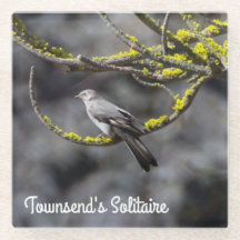 Townsend's Solitaire