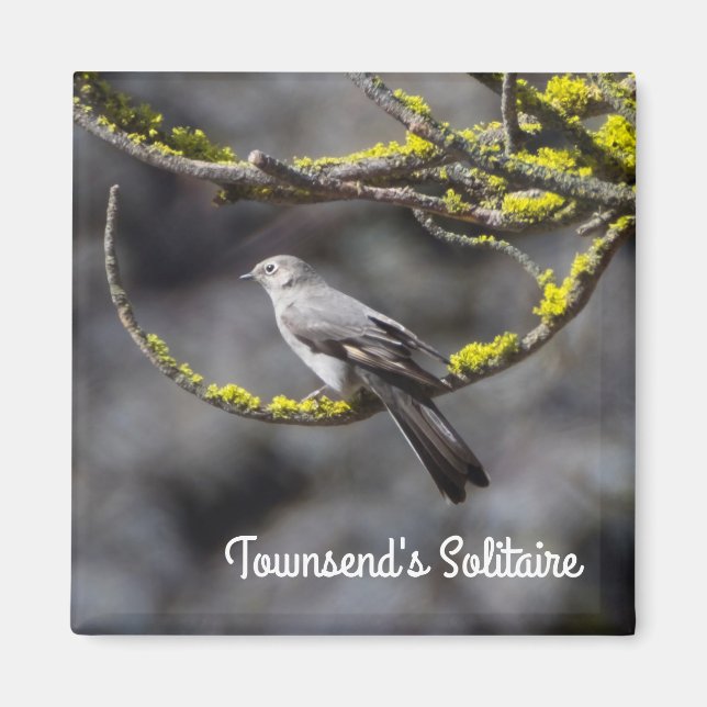 Townsend's Solitaire Magnet (Framsidan)