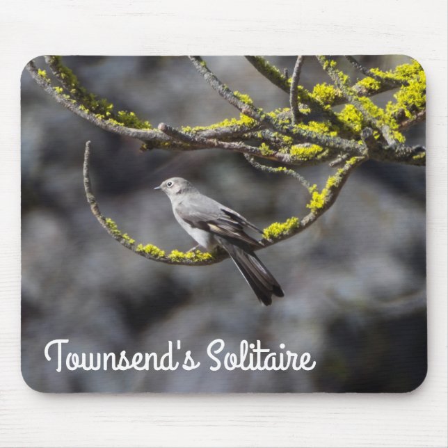 Townsend's Solitaire Musmatta (Framsidan)