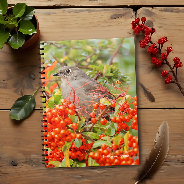 Townsend's Solitaire på Pyracantha Anteckningsbok (Townsend's Solitaire on the Pyracantha Shrub Journal Cover Photo)